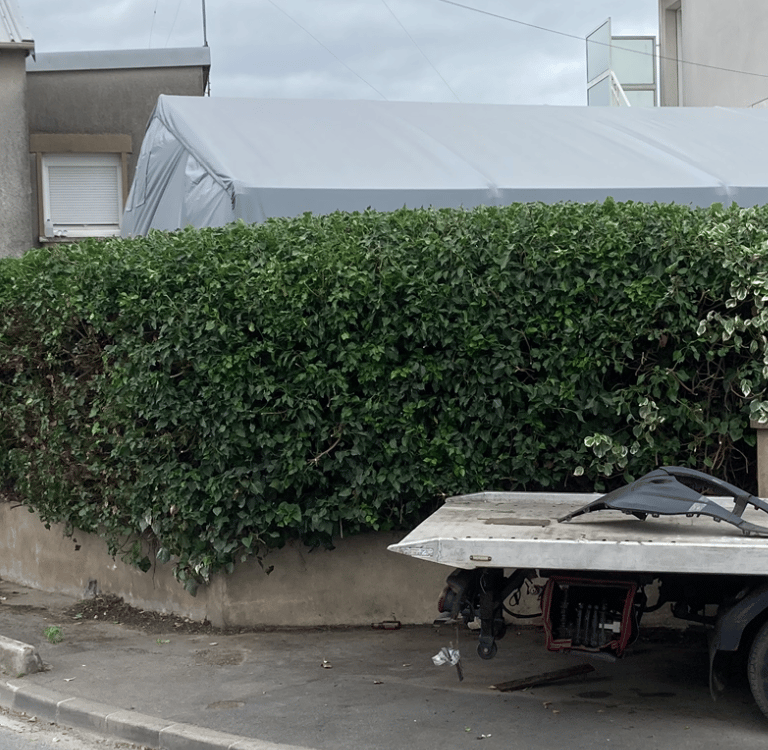 Taille de haies à Soisy-sur-Seine et aux alentours