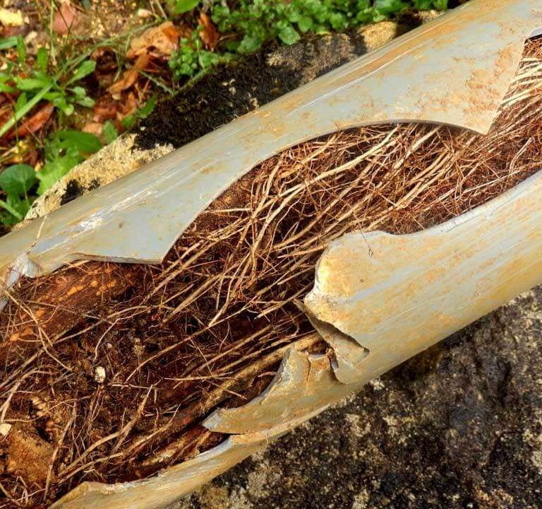 Pipe Repair and Broken Pipes Issues