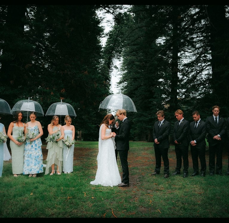Bride, groom and bridal party standing beneath the pine trees at Araucaria Avenue Adelaide