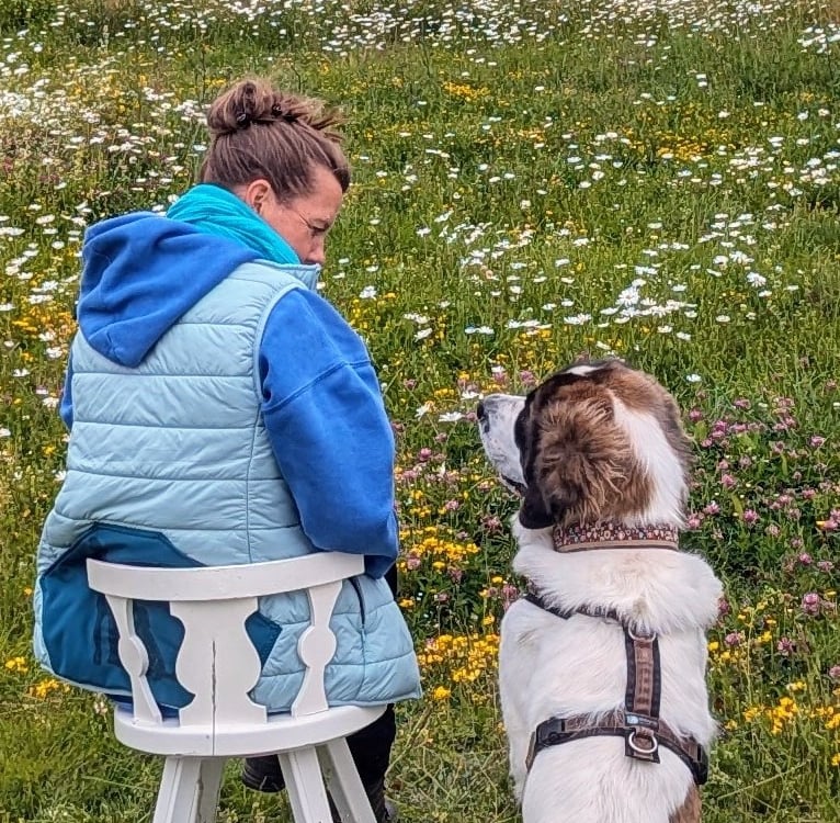 coaching mit Hund und BesitzerIn Gespräch