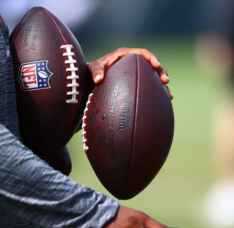 TWS Practice Footballs