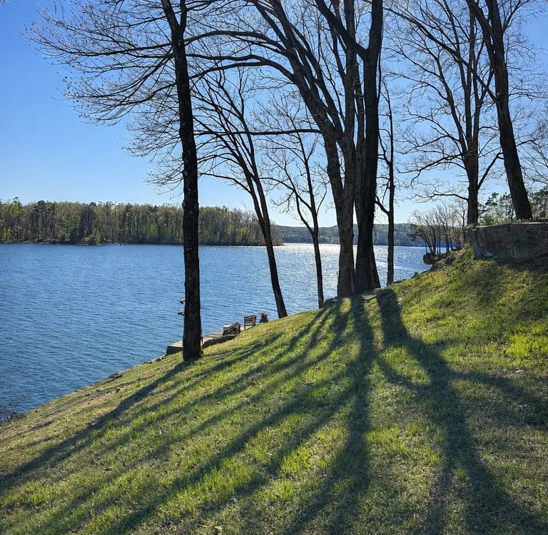 After Tree and Limb removal on a Pickwick Lake Home
