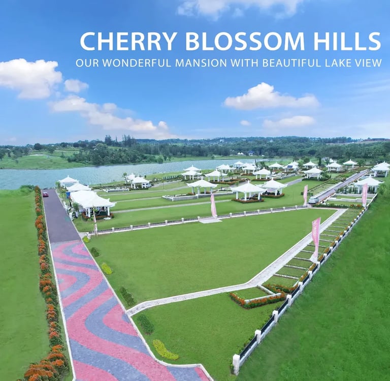 San Diego Hills Garden Cherry Blossom