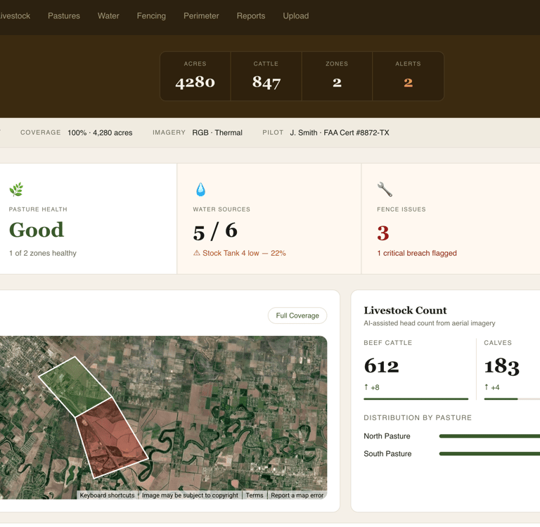 example-altavex-dashboard