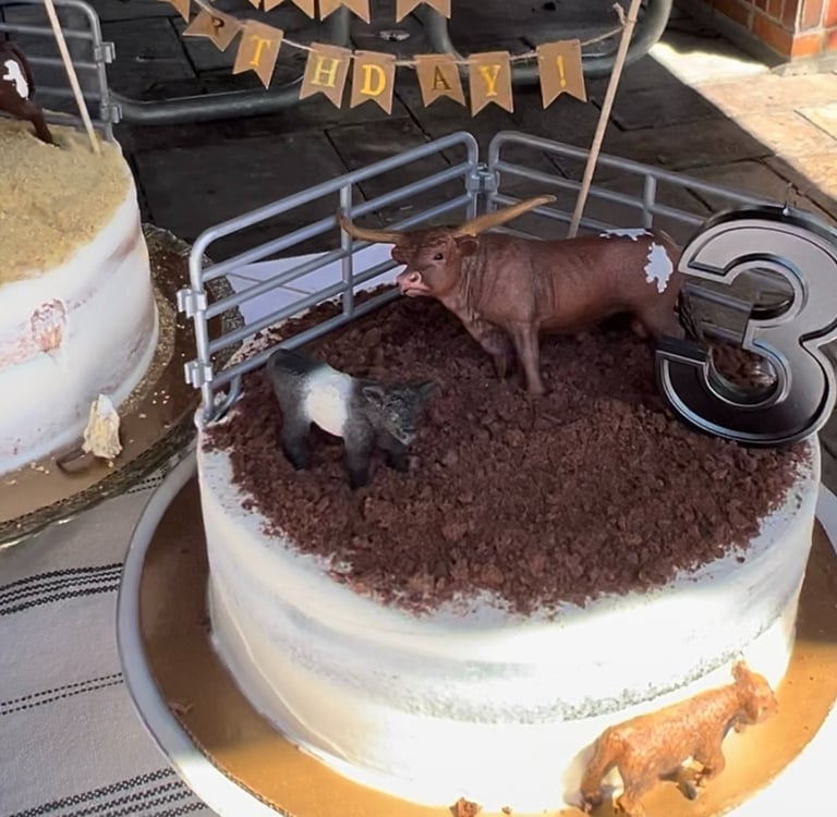 Rodeo Cake Time!