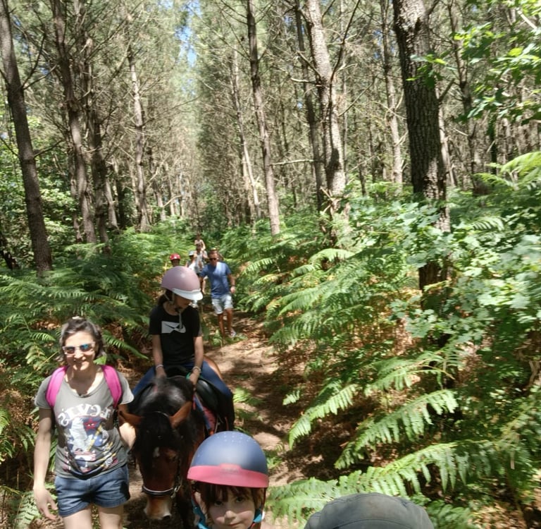ballde cheval pins Landes 