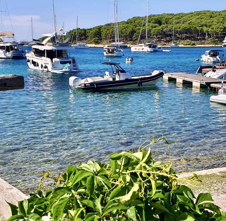 Nuova Jolly Exclusive RIB docked at Pakleni Islands during lunch break on a private boat tour from Split, Croatia.