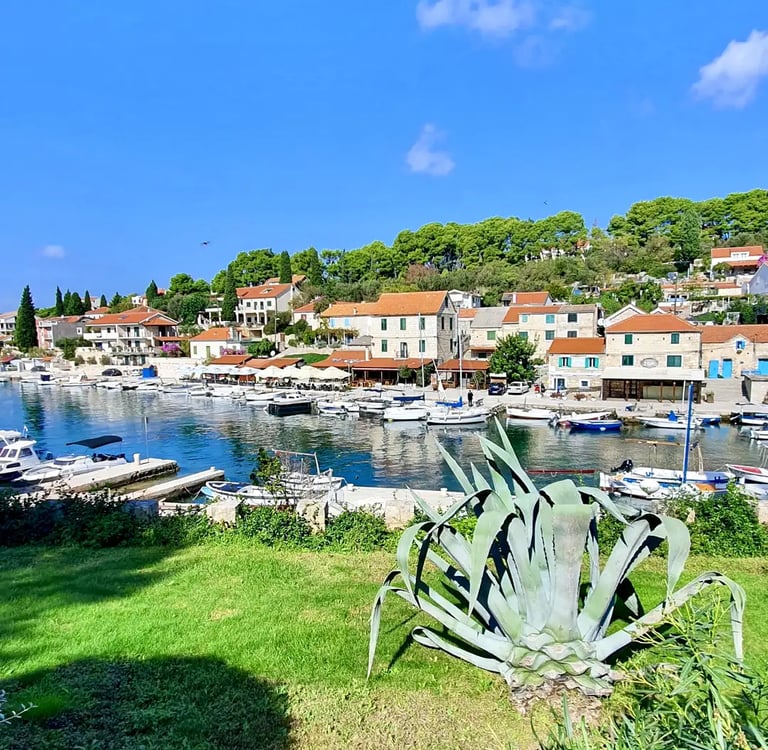Panoramic view of traditional Dalmatian village of Maslinica, Solta during a SunMarine private boat tour from Split, Croatia.