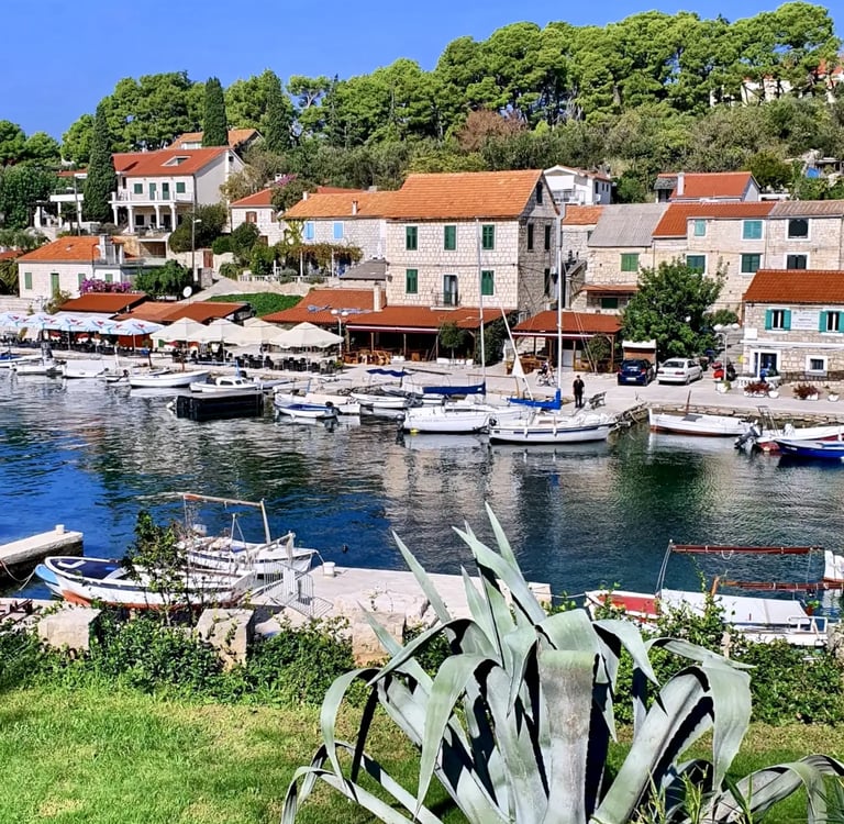 Panoramic view of traditional Dalmatian village of Maslinica, Solta during a SunMarine private boat tour from Split, Croatia.