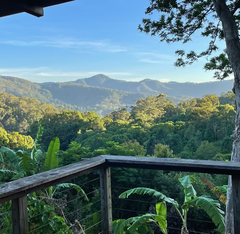 The view at Fiona's studio
