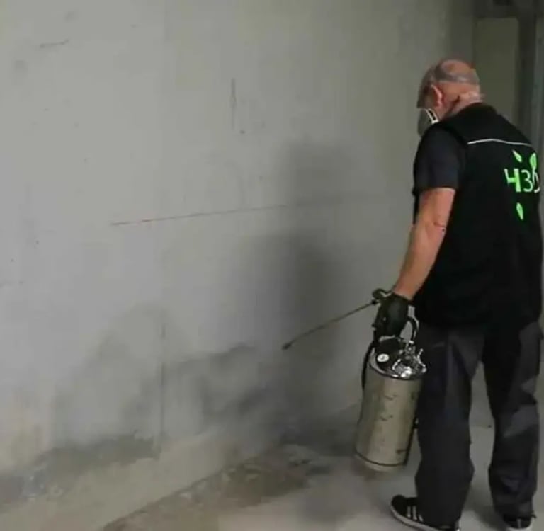 h3dservices nice dératisation désinsectisation