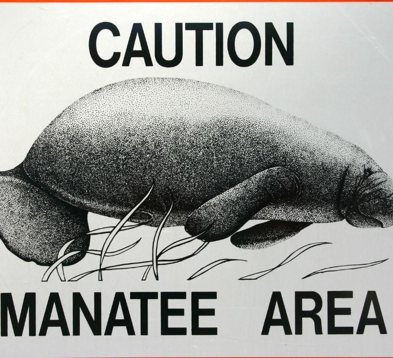 caution manatee area sign