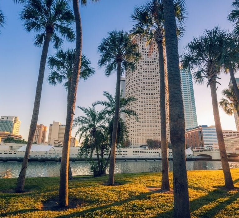 downtown tampa with palm trees in foreground
