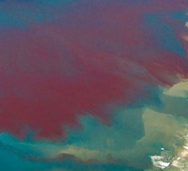 florida gulf coast red tide arial image