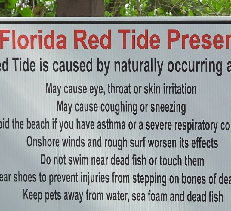 Florida red tide present sign at beach