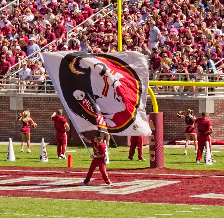 florida state university flag