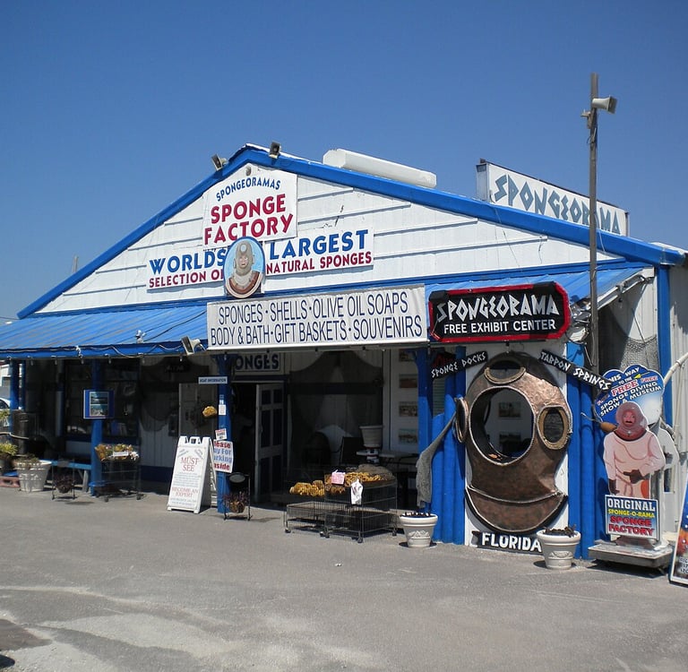 sponge factory in tarpon springs florida