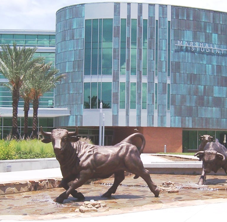 university of south florida bull statue