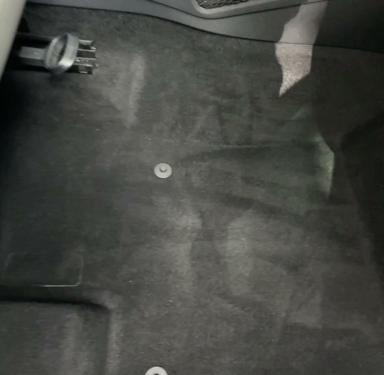 professionally cleaned carpet after mobile detailing