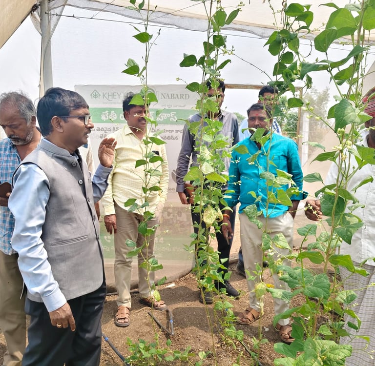 Visiting Agricultural farms 