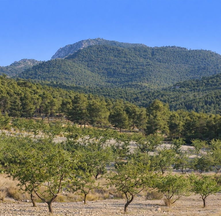 sierra de la pila fotuna abanilla murcia noreste