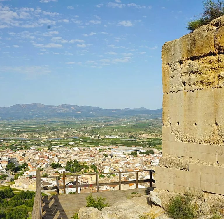 View of the town of Pliego from the hill on which its medieval castle stands. Photo from turismo.pli