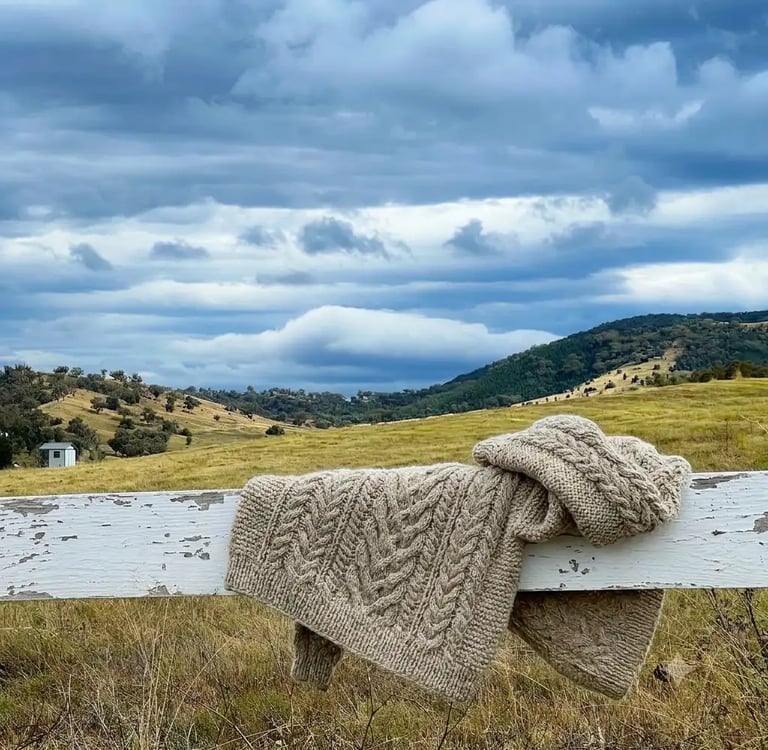 Paddock and cloudy sky with a sweater draped over a fence in the foreground