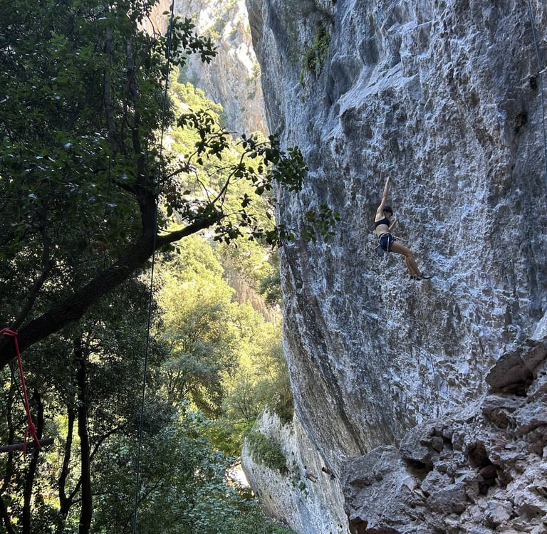 Secteur d'escalade du Pont D'en Valenti
