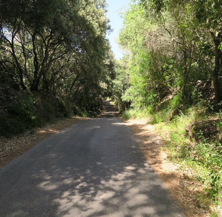 Classic Roads vintage motorcycle tours in Menorca and Mallorca