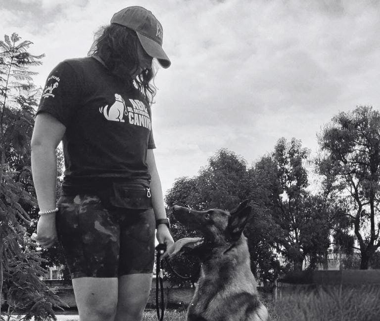 Entrenador canino profesional trabajando con un Pastor Belga Malinois al aire libre.