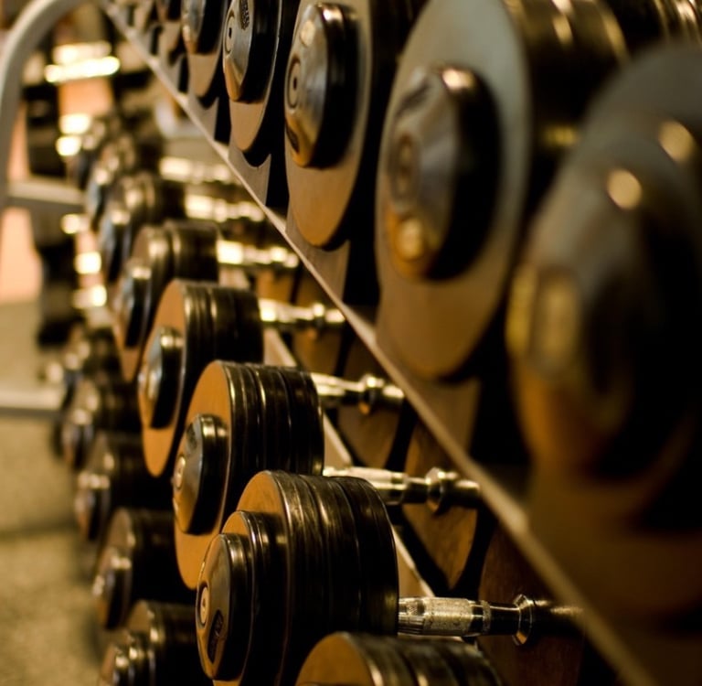 a row of dumb dumbblebells in a gym