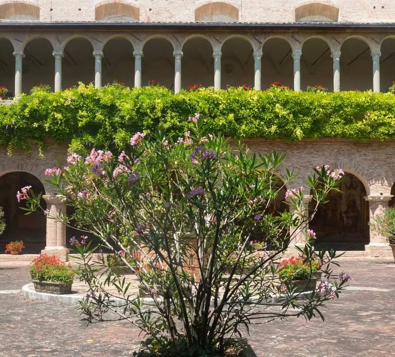 Basilica medievale e vicoli antichi Marche