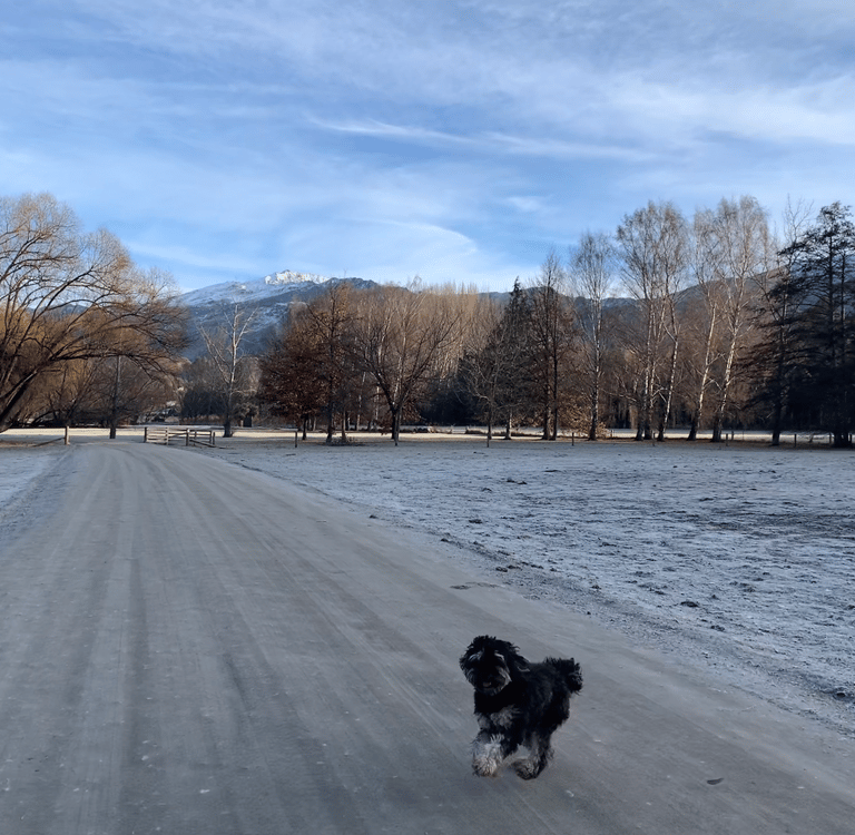 Leisure pet friendly walk