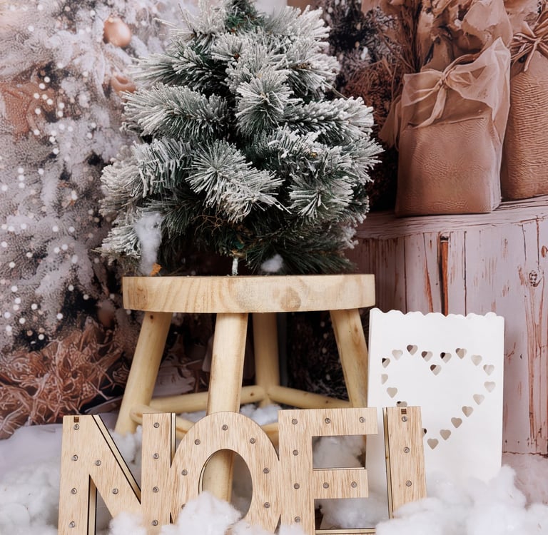 Photo noel avec sapin blanc