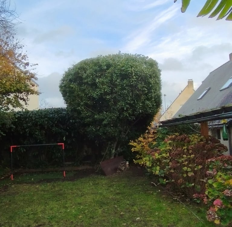 taille arbres arbustes haies nantes jardin paysagiste