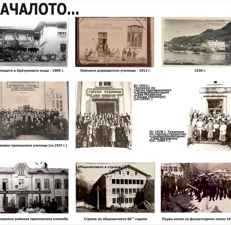 национална професионална гимназия по горско стопанство и дървообработване сава младенов тетевен