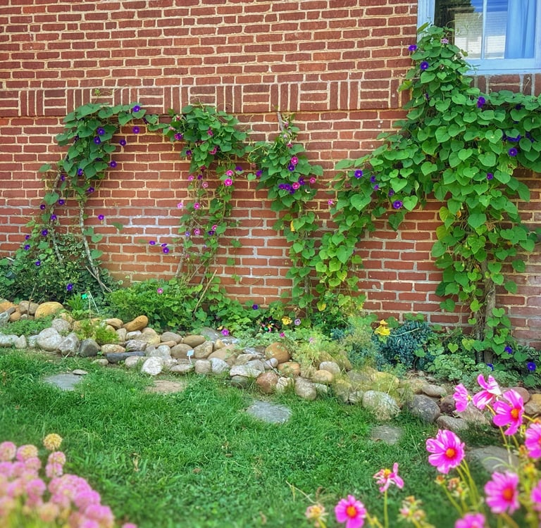 Virginia love sign made of vines 2123 Rivermont