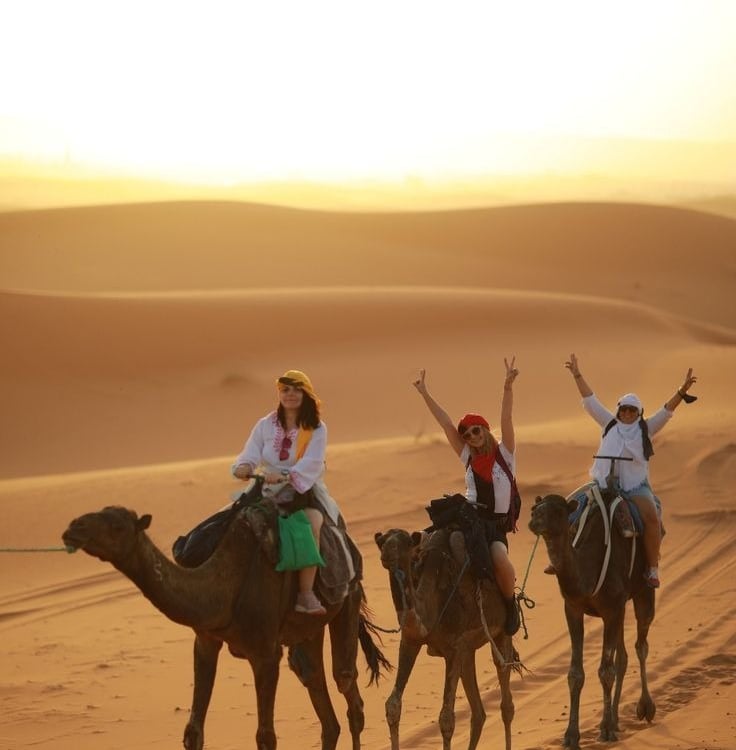 soul-of-nomads---blog---travel-guide---zagora-desert-morocco-camel