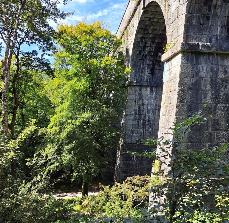 Luxulyan Valley / Viaduct