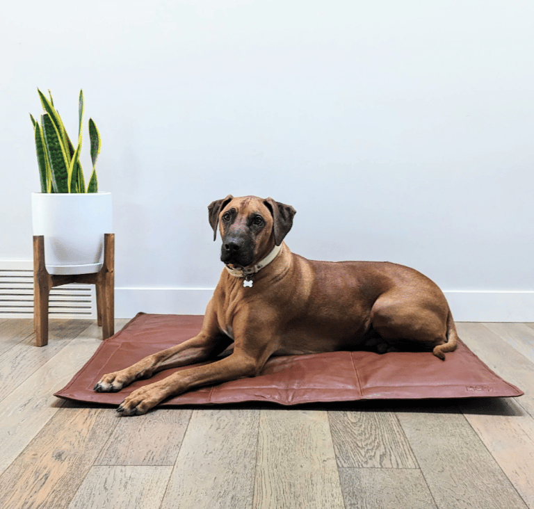 Portable cognac leather dog mat for travel and car use.