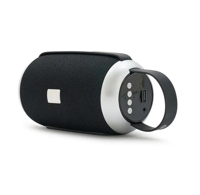 Portable black and silver Bluetooth speaker with control buttons and carrying handle.