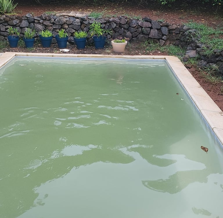 piscine-sale-boue