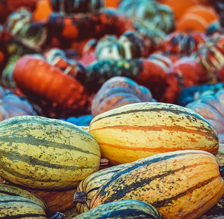Verschiedene Kürbisse auf einem Haufen