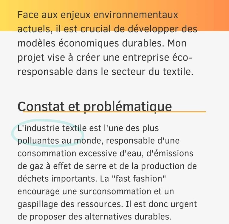 Exemple d’argumentaire de projet professionnel
