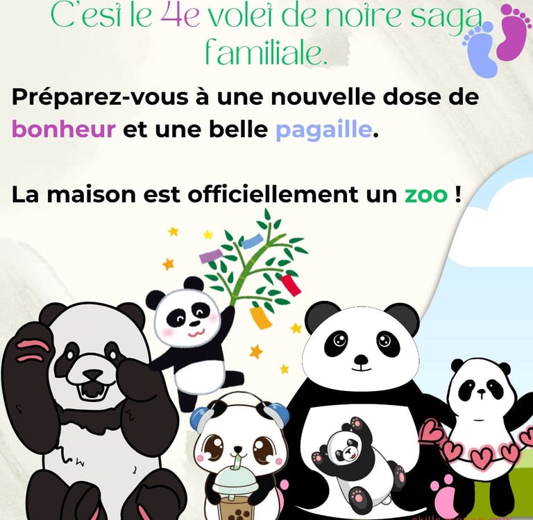 faire-part de naissance du 4e bebe humour