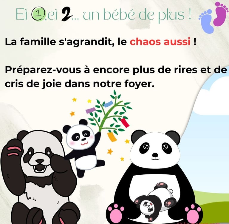 faire-part de naissance humoristique 2e deuxieme bebe