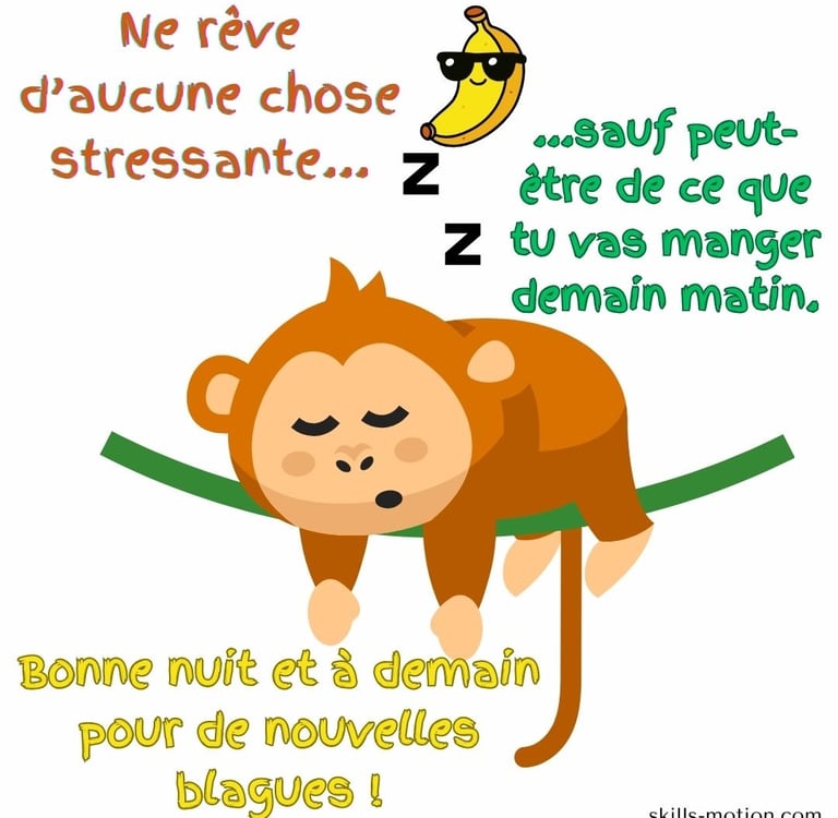 image bonne nuit a demain humour animaux