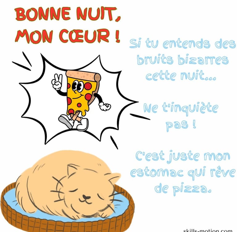 image bonne nuit humour chat
