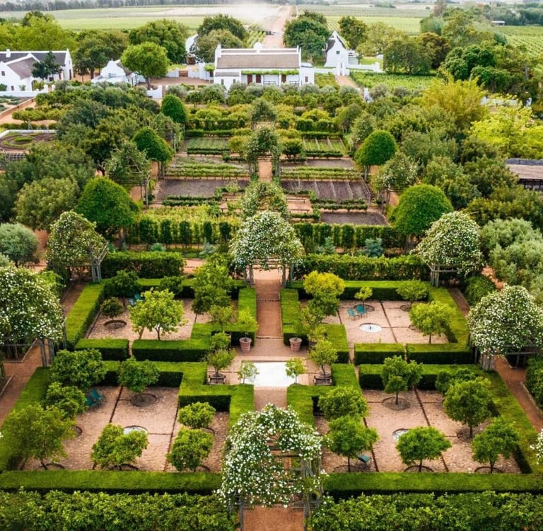 Aerial view of Cape vineyard included in a Gaia Safaris package.