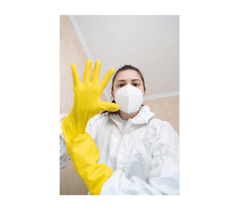 Professional Mold Remediation technician